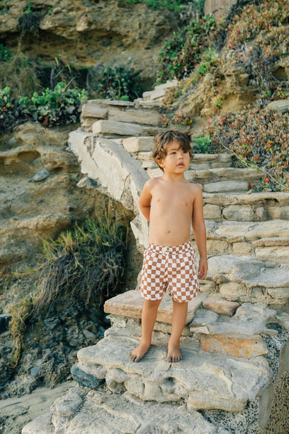 Rust Checkered Swim Shorts